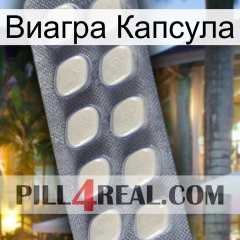 Виагра Капсула 08